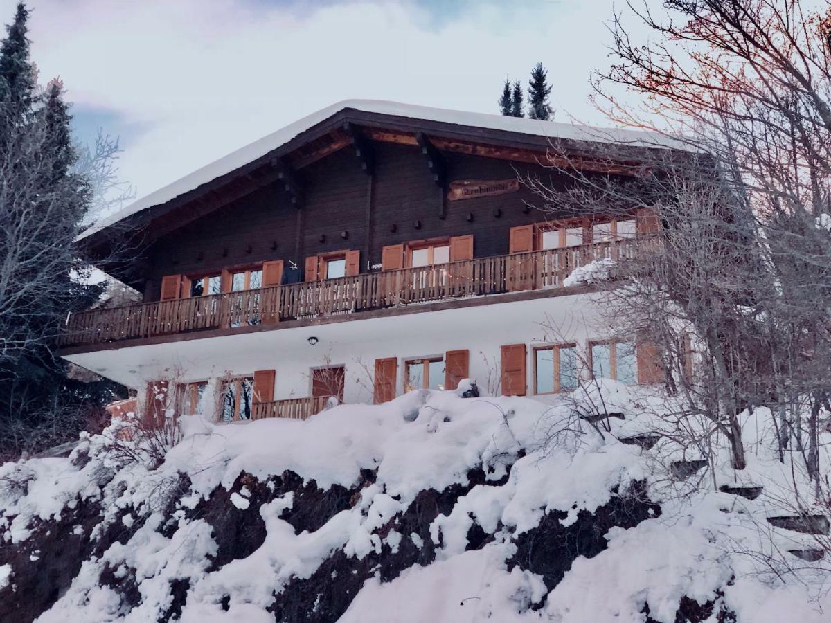 Ferienwohnung Alpenchalet Trutmundi undri Eischoll Exterior foto