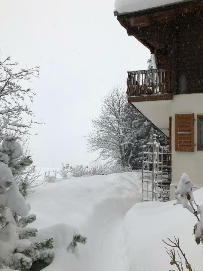 Ferienwohnung Alpenchalet Trutmundi undri Eischoll Exterior foto